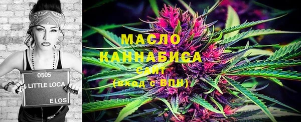 мдпв Богородицк