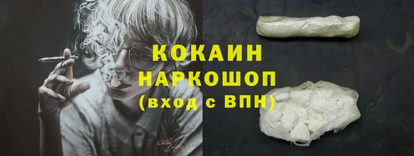 мдпв Богородицк