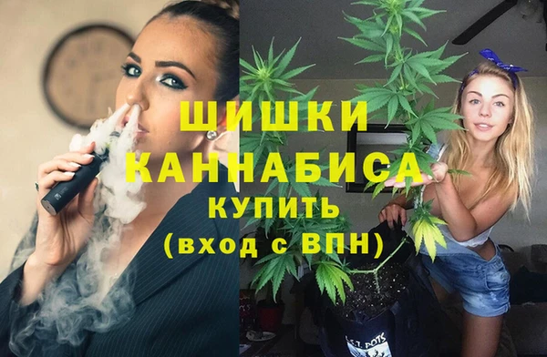 мдпв Богородицк