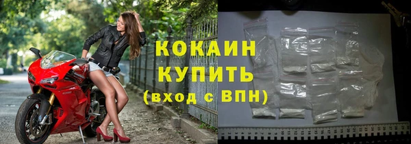 мдпв Богородицк