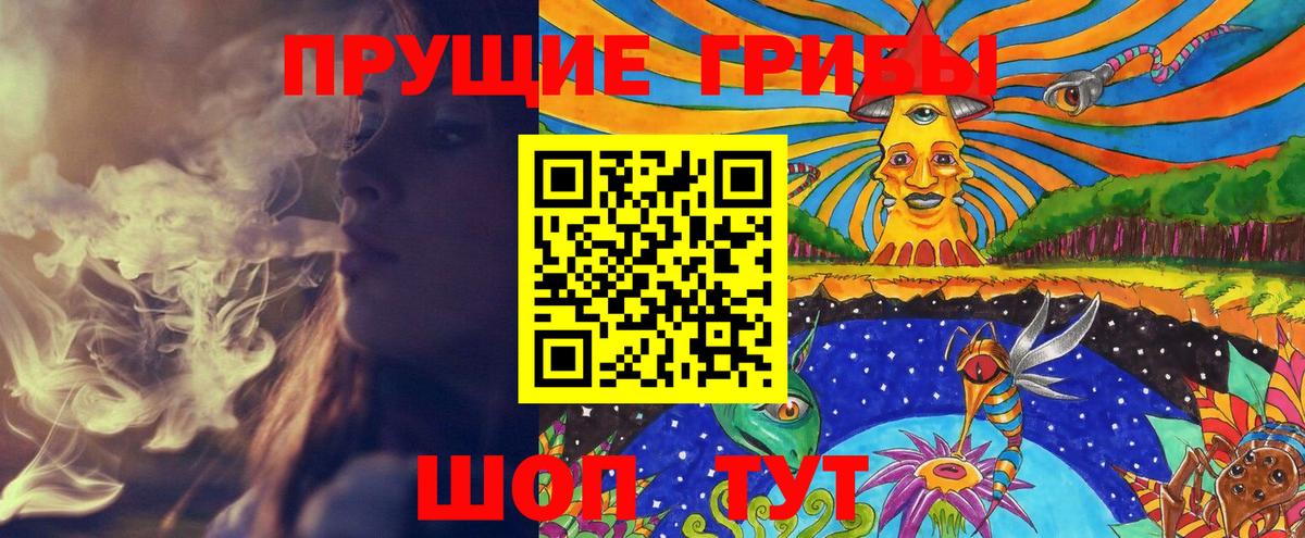 Волжск  Псилоцибиновые грибы ЛСД  Вход с VPN  купить наркотики цена  Псилоцибиновые грибы прущие грибы 
