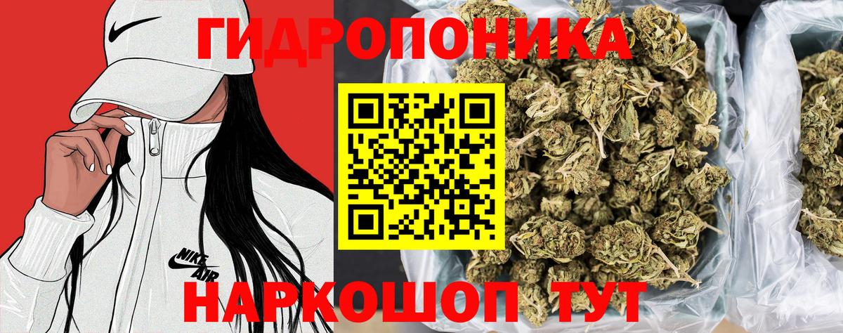 Каннабис OG Kush  Бошки Шишки OG Kush  МАРИХУАНА гибрид  Вход с VPN  Волжск 